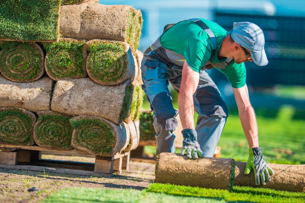 Natural Grass Turf Installer
