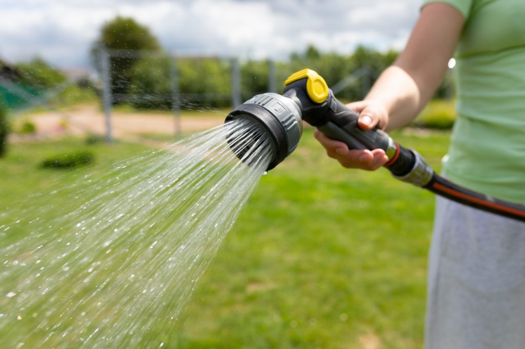 woman watering the lawn with a garden hose with a watering can